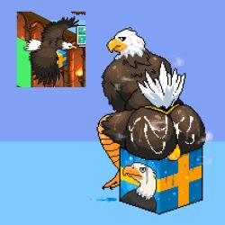 1boy artist_upload ass ass_cleavage ass_crack ass_focus asshole avian avian_feet avian_humanoid balls balls_bulge balls_outline balls_under_clothes ballsack bara bara_ass beak bird bird_legs bird_tail bird_wings blue_background box brown_body brown_fur brown_skin cum cum_drip cum_in_ass cum_inside cum_on_body eagle game_screenshot gay gay_male male male_only musk musk_clouds musky musky_balls musky_butt oiled oiled_ass oiled_body oiled_skin oiled_up oily oily_skin pewdiepie's_tuber_simulator reference_image ritcherr self_upload simple_background simple_drawing simple_shading sitting sitting_down sitting_on_box sitting_on_object solo solo_focus sponsor sponsor_eagle sponsor_eagle_(pewdiepie's_tuber_simulator) sponsor_eagle_(pts) sweat sweatdrop sweating sweaty sweaty_ass sweaty_balls sweaty_body sweaty_butt thong thong_only thong_underwear white_fur white_hair white_tail yaoi yellow_beak yellow_clothing yellow_thong