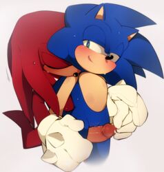 7mii balls bite_mark biting cum cumdrip cuntboy from_behind grinding heart-shaped_pupils hedgehog holding_hands intersex interspecies knuckles_the_echidna looking_back monotreme penis pussy pussy_juice_trail pussyjob rule_63 sega smile sonic_(series) sonic_the_hedgehog sonknux sweat thigh_sex