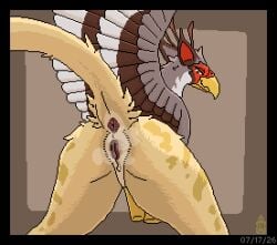 accipitriform animal_genitalia animal_vulva avian bird bodily_fluids digital_media_(artwork) feline_anus feline_genitalia feline_vulva female female_feral feral first_person_view genital_fluids genitals gryphon looking_back musk musky_vulva mustard_(welcometothevoid) mythological_avian mythological_creature mythology pixel_(artwork) secretary_bird solo vaginal_fluids vulva