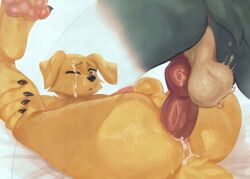 ambiguous_fluids anal anal_orgasm anal_sex anthro anus ass balls beastars big_penis bodily_fluids body bouncing canid canine canine_penis canis cum cum_in_ass cum_inside cum_on_face cum_while_penetrated domestic_dog duo ejaculation erection front_view fur gay genital_fluids genitals hands-free hauringu jack_(beastars) knot labrador legoshi_(beastars) legs looking_pleasured male male/male mammal nose nude one_eye_closed orgasm penetration penile penis position press retriever sex simple spreading sweat translucent wolf