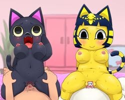 animal_crossing ankha bed bedroom black_fur blush breasts censored cowgirl_position feline female fur human interspecies kiki_(animal_crossing) male mammal marshal_(animal_crossing) nintendo penetration penis plant rodent squirrel stripes sweat tears vaginal_penetration video_games white_fur yellow_fur