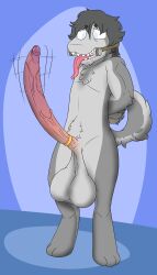 4:7 absurd_res accessory anthro arms_tied arms_tied_behind_back balls big_balls big_penis bodily_fluids bound cock_ring drooling foreskin gag genitals hands_behind_back hi_res huge_balls huge_cock humanoid_genitalia humanoid_penis hybrid jewelry long_penis male mikey6193 mikey_(mikey6193) penis penis_accessory penis_jewelry retracted_foreskin saliva solo throbbing throbbing_penis tongue tongue_out vein veiny_penis