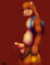 anthro backpack balls banjo-kazooie banjo_(banjo-kazooie) bear belt blue_eyes blush brown_fur clothing erection fur furry male male_only mammal penis precum shorts simple_background solo torias