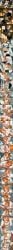 1boy ai_assisted ai_generated angry annoyed bath bathroom big_breasts big_penis blowjob blowjob_face blush boner bra breasts cleavage clothed_male_nude_female cock_hungry cock_shock cock_worship comic comic_strip cum cum_drip cum_in_mouth cum_on_body cum_on_breasts cum_on_face cum_on_floor cum_on_hair cumshot cumshot_in_mouth cumshot_on_face cunnilingus deepthroat dissappointed_look drenched dripping emotionless female flaccid flaccid_penis fully_clothed grabbing grabbing_penis groping groping_breasts hairy_pussy happy holding_penis horny huge_breasts huge_cock huge_cumshot indoors jeans kissing large_breasts large_penis licking licking_penis licking_pussy looking_at_penis male motion_lines naked naked_female naked_male nami_(one_piece) nipples one_piece penis penis_awe pubic_hair pussy rolling_eyes sad sanji sanji_(one_piece) shocked short_hair shower size_comparison size_play size_talk smoking speech_bubble story sucking sucking_penis surprised sussychan sweat talking_to_another talking_to_viewer tank_top text tight_clothing tongue tongue_out trembling unbothered undressing veiny_penis
