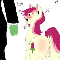 anon anus blush clitoris clothing cold-blooded-twilight cutie_mark duo equine female friendship_is_magic fur green_eyes green_skin hair heart hooves horse human in_heat male mammal my_little_pony open_mouth pony pussy pussy_juice raised_tail red_hair roseluck_(mlp) smile sweat wet_pussy