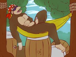 being_watched donkey_kong_(series) erection funky_kong furry male male_only nude outside precum solo tagme