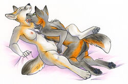 anthro ass breast_grab breasts canine closed_eyes dinobutt duo female fingering fox fur furry kittysaurus licking lying mammal nude on_back pawpads paws pussy tongue tongue_out yuri