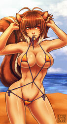 abs animal_ears arc_system_works areola_slip beach bikini blazblue blazblue:_continuum_shift breasts brown_eyes brown_hair cleavage female hair k-y-h-u large_breasts makoto_nanaya micro_bikini mouth_hold navel pubic_hair short_hair solo squirrel_ears squirrel_tail standing swimsuit tail