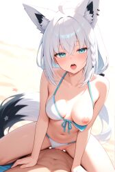 shirakami fubuki from hololive