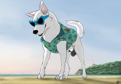 Blake (Consensualcanine) Rule 34 Image