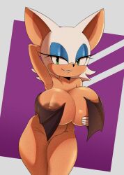 rouge the bat from sega by god1annie
