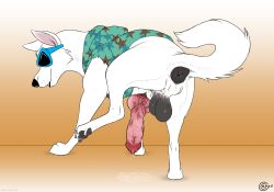 blake (consensualcanine) fan art