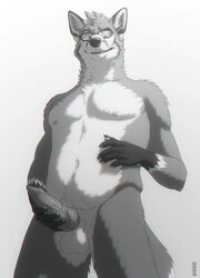 1boy 2014 anthro balls canine erection fox fur happy holding_penis kannos knot male male_only mammal muscles navel nipples pecs penis sharp_teeth smile solo standing teeth