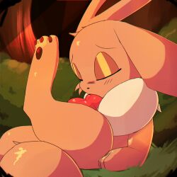 eevee from nintendo by fura