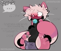 anal anal_sex anthro anthro_penetrated asking_for_help bell bell_collar blush blushing_profusely bodily_fluids bodysuit bulge caught_in_the_act clothed clothed_anthro clothed_male clothing collar domestic_cat duo ellipsis embarrassed felid feline felis fur glue_(purrmaxxing) heart_symbol hearts_around_text hi_res male male/male male_penetrated mammal markings moan nya offscreen_character penetration piercing pink_body pink_fur plap plushie purrmaxxing restrained restrained_by_tentacles roommate sex skimpy skinsuit spots spotted_body spotted_fur stomach_bulge striped_body striped_fur stripes sweat sweatdrop tan_body tan_fur tentacle tentacle_in_ass tentacle_penetration tentacles_around_arms tentacles_on_male thinking tight_clothing walk-in whiskers
