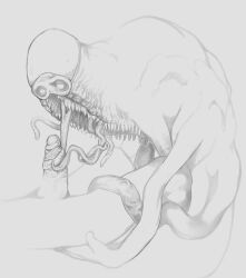 jasper (look outside) from look outside by anonymous artist