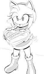 amy rose from sega by delicioussoup