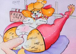 isabelle (animal crossing) from animal crossing