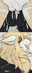 2025 absurd_res adam_manchester anthro anthro_on_anthro anthro_penetrated anthro_penetrating anthro_penetrating_anthro balls black_balls black_body black_fur bodily_fluids butcher_pal canid canine canis close-up colored comic cum cum_in_vagina cum_inside digital_drawing_(artwork) digital_media_(artwork) duo eye_through_hair eyebrow_through_hair eyebrows female female_anthro female_penetrated freckled_face freckles fur genital_close-up genital_fluids genitals hair hi_res hybrid male male/female male_anthro male_penetrating male_penetrating_female mammal penetration penile penile_penetration penis_in_vagina pink_vulva procyonid raccoon sex simple_background tan_body tan_fur tan_hair teeth tongue tongue_out translucent translucent_hair tuft vaginal_penetration vulva water wet wet_body wet_hair white_body white_fur wolf