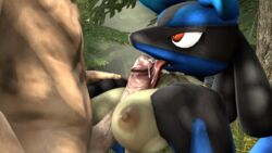 16:9 1boy 1girls 3d anthro areola areolae big_breasts blue_fur breasts canine cum digital_media_(artwork) duo erection faceless_male fangs female female_focus forest furry grass hi_res human human_on_anthro interspecies licking long_tongue lucario male male_human/female_anthro male_human/female_pokemon male_on_anthro mammal nintendo nipples nude oral outdoors outside paizuri penis penis_lick poképhilia pokemon pokemon_(species) pokemon_dppt pokephilia red_eyes saliva scrungusbungus solo_focus straight teeth tongue tongue_out topless tree veins veiny_penis video_games