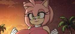1boy 1girls 2d 2d_animation amy_rose animated barely_clothed beach big_ass big_breasts dendyart fat_ass fat_butt green_eyes huge_ass huge_breasts inminent_sex massive_ass massive_tits miles_tails_prower pink_body pink_hair pixel_animation pixel_art smile sonic_(series) squeezing sunset tails_the_fox white_gloves