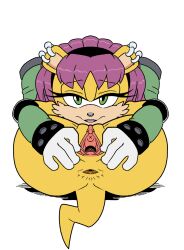 mina mongoose from sonic (series) by leatherruffian