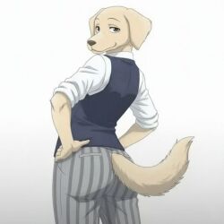 jack (beastars) from beastars
