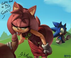 2014 amy_rose anthro erection fellatio female hedgehog male mammal marthedog oral oral_sex penis sega sex sonic_(series) sonic_the_hedgehog testicles theboogie undressing