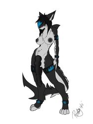 1futa anthro big_penis black_penis bracers breasts canine dionysos_(artist) double_knots fish flaccid furry furry_only futa_only futanari hybrid intersex knots long_penis mammal marine nipples penis ribs shark solo solo_futa sora_(sora4026) wolf wolfshark