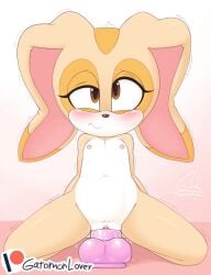 1girls 2020s 2024 animal_ears anthro arms_behind_back artist_name bare_legs bare_shoulders blush brown_eyes clitoris collarbone completely_nude completely_nude_female cream_the_rabbit cub dildo dildo_riding eyelashes female flat_chest full_body furry furry_female gatomonlover gluteal_fold gradient_background kneeling legs_apart long_ears looking_at_viewer masturbation mobian_(species) navel nipples nude nude_female pussy pussy_juice rabbit_ears rabbit_humanoid sega sex_toy simple_background solo sonic_(series) stomach trembling uncensored wavy_mouth