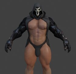 reaper from blizzard entertainment by augghles