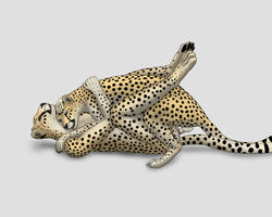 anal anal_sex animal_genitalia anthro anthro_on_feral balls cheepard cheetah feline feline_penis feral gay interspecies male mammal mounting penetration penis sheath zoophilia