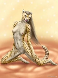 anthro breasts cheepard cheetah feline female hair licking long_hair looking_at_viewer mammal navel nipples pose pussy solo tongue tongue_out yellow_eyes