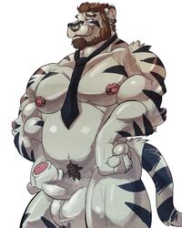 balls beard biceps chubby donryu ear_piercing erection eyebrow_piercing facial_hair facial_piercing feline genital_piercing hands_on_hips humanoid_penis male male_only mammal musclegut muscles necktie nipple_piercing nipples nude pecs penis piercing pubes scrotum_piercing solo standing tiger uncut vex_(character) white_tiger