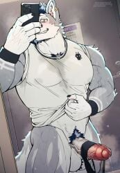absurd_res anthro beard bk-mita blush bodily_fluids canid canine cellphone claws clothing ear_piercing ear_ring electronics erection facial_hair finger_claws fur genital_fluids genitals glans hi_res holding_cellphone holding_object holding_phone holding_smartphone humanoid_genitalia humanoid_penis male mammal mirror_selfie nipples penis phone piercing precum pubes ring_piercing selfie shirt smartphone solo sweat tail tank_top teeth topwear white_body white_fur