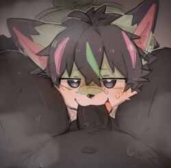 age_difference artist_request balls black_fur black_hair blowjob cock cub fellatio gay green_fur green_hair male male/male male_cub musk pink_hair yaoi young