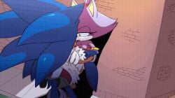 1boy1girl against_wall animated animated_gif apsel_bluestar blaze_the_cat breasts fast_thrusts feline female furry gif hedgehog male medium_breasts nipples penetration quills rough_sex sega sex sonic_(series) sonic_the_hedgehog sonic_the_hedgehog_(series)