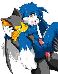 anal anus guntz klonoa klonoa_(series) penis tagme yaoi