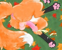absurd_res anus balls big_balls bodily_fluids canid canine claws cum cumming_onto_feet ejaculation feral fox genital_fluids genitals hi_res humanoid_genitalia humanoid_penis leaves_on_ground male mammal nature outside paws penis red_fox solo true_fox woolpuff