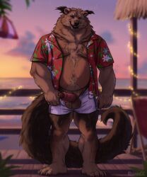 2024 allmand52 aloha_shirt anthro arm_hair arm_tuft balls belly belly_hair biceps binturong boardwalk bodily_fluids body_hair bottomwear bottomwear_down brown_hair calf_muscles chair chest_hair christmas_decorations christmas_lights clothed clothing cloud dripping ear_tuft elbow_tuft erection forearm_hair forearm_muscles forearms foreskin furniture genital_fluids genital_piercing genitals gold_piercing grin grinning_at_viewer hair hairy happy_trail hi_res leg_hair looking_at_viewer male mammal manly mature_male muscular muscular_arms muscular_legs muscular_thighs neck_tuft nipples open_clothing open_shirt open_topwear outside partially_clothed pattern_clothing pattern_shirt pattern_topwear pecs penis penis_piercing penis_poking_out piercing precum precum_drip prince_albert_piercing pubes public public_nudity sea shirt shorts shorts_down shorts_open slightly_chubby smile solo sunset thick_neck topwear tuft vein veiny_penis viverrid water