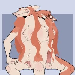 2_heads 3_legs anthro balls blue_background blush bodily_fluids clitoral_hood dripping embarrassed flustered fur futago_and_antifutago genital_fluids genitals hair hamham_gd hand_on_face hi_res intersex long_hair maleherm multi_head penis precum precum_drip prehensile_clitoral_hood pussy red_body red_fur sergal simple_background sitting solo tan_body tan_fur