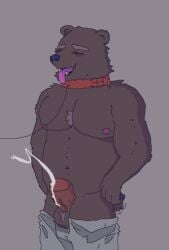 anthro ball_tuft balls bdsm bear bearcopper biceps big_balls big_penis bodily_fluids bottomwear bottomwear_down brown_bear brown_body brown_fur clothed clothing collar cum ears_up ejaculation eyebrows eyes_closed fluffy fur fur_tuft furry_balls genital_fluids genitals girthy grey_bottomwear grey_clothing grey_pants leash male mammal muscular navel nipples pants pants_down partially_clothed paws pecs penis petplay red_collar red_penis roleplay sharp_teeth snout solo tail tail_motion tailwag teeth thick_eyebrows tongue tongue_out tuft ursine