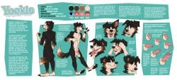 anthro arm_tuft balls black_body black_fur black_nose black_pawpads blue_eyes blush border_collie brown_markings canid canine canis cheek_tuft chest_tuft closed_smile collie domestic_dog elbow_tuft erection facial_tuft fangs flaccid floppy_ears foreskin front_view fur genitals half-erect head_tuft herding_dog hi_res humanoid_genitalia humanoid_penis male mammal markings model_sheet mouth_closed neck_tuft pastoral_dog pawpads penis pink_penis rear_view red_tongue sheepdog shoulder_tuft smile solo standing tan_balls tan_body tan_fur teeth tongue tuft yookie