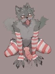 animal_genitalia animal_penis anthro bebebebebe biped black_nose blush bodily_fluids canid canine canine_genitalia canine_penis canis clothing erection femboy fingers fur genital_fluids genitals grey_body grey_fur grey_tail hi_res kneeling knot legwear male male_only mammal penis precum pupils red_eyes simple_background solo tail thigh_highs wolf