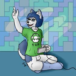 1boy anthro balls bottomless canine eyewear fur furry fuzzywuff game_controller games glasses husky male male_only mammal mario_(series) nintendo simman simple_background socks solo tetris young