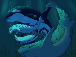 2025 animal_genitalia animal_penis animal_pussy bubble cetacean cetacean_genitalia cetacean_penis cetacean_pussy claspers detailed_background dolphin dorsal_fin erection female female_feral female_penetrated feral feral_on_feral feral_penetrated feral_penetrating feral_penetrating_feral fin fish flippers genital_slit genitals group hi_res kamuri larger_male leo_(sciguy429) male male/female male_feral male_penetrating male_penetrating_female mammal mammary_slits marine nero_(mrmephit) oceanic_dolphin open_mouth orca penetration penile penile_penetration penis penis_in_pussy pussy severin_(rokanoss) sex shark sharp_teeth shinigamisquirrel size_difference smaller_female tail tail_fin tapering_penis teeth toothed_whale underwater underwater_sex vaginal_penetration vaginal_penetration water