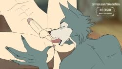 2024 2boys 2d_animation 5_fingers anal anal_rimming animated animation anthro anthro_on_anthro anus anus_focus anus_focused anus_lick anus_licking anus_spread anus_spreading anus_tongue ass ass_focus ass_grab ass_lick ass_licking ass_spread ass_spreading balls beastars bikomation bird_dog black_eyes black_nose bodily_fluids bodily_fluids_in_mouth body_hair canid canine canis cheek_tuft chest_hair claws close_up delicious delicious_ass detailed_background digital_media_(artwork) domestic_dog duo erection eyebrows face_to_ass facial_expressions facial_tuft fangs finger_claws fingers fluffy fluffy_balls fluffy_cheeks fluffy_hair fluffy_tail frame_by_frame friends fur furry gay genitals good_boy grey_body grey_fur half-closed_eyes half_closed_eyes hand_on_butt hunting_dog interspecies jack_(beastars) kissing kissing_ass labrador legoshi_(beastars) licking licking_anus licking_ass long_tongue looking_at_anus looking_at_ass looking_at_genitalia looking_pleasured male male/male male_only mammal netflix nude nude_anthro nude_male open_mouth penis pleasure pleasure_face pleasured pleasured_face retriever rimming rimming_male room_701 roommate saliva saliva_drip saliva_in_ass saliva_on_anus saliva_on_ass saliva_on_tongue saliva_string sex short_playtime spread_anus spread_butt spread_legs spreading spreading_anus spreading_ass spreading_butt tail_motion tailwag tan_body tan_fur teeth tongue tongue_in_anus tongue_in_ass tongue_licking tongue_out touching_anus touching_ass tuft wet widescreen wolf yellow_body yellow_fur