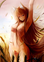 1girls absurdres animal_ears arms_up bbkid blush breasts brown_hair cute_fang female flat_chest highres holo long_hair navel nude pubic_hair red_eyes solo spice_and_wolf tail uncensored wheat wheat_field wolf_ears wolf_tail