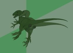 2025 absurd_res animal_genitalia animal_penis anus ass bite black_and_green claws cloaca cloacal_penis crocodilian_penis digital_media_(artwork) dinosaur dominant dromaeosaurid duo earhole erection feral genitals green_background green_body hi_res holding_partner looking_at_another looking_at_partner male male/male male_feral monochrome neck_bite nude open_mouth penis philosoraptor prehistoric_species reptile scalie seminal_groove simple_background tail teeth theropod tongue velociraptor zw3