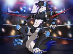 anthro bulge canid canine clothing detailed_bulge fighting_ring hi_res kaerufrog legwear looking_at_viewer male mammal pawpads reclining smile solo thigh_highs
